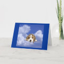 Search for beagle valentines day cards Hound