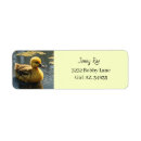 Search for ducks return address labels Yellow