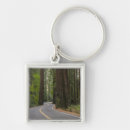 Search for redwood key rings Landscape