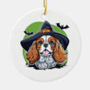 Search for broom christmas tree decorations Spooky