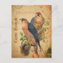 Search for peregrination postcards Bird