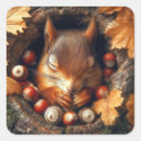 Search for squirrel with nut stickers Leaves