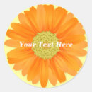 Search for orange daisy stickers Daisies