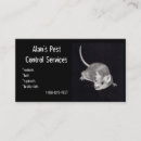 Search for mouse business cards Rodents
