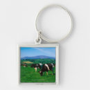 Search for holstein cow key rings Animal