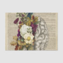 Search for brain tissue Anatomy