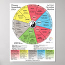 Search for meridian chart posters Acupuncture