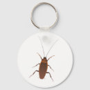 Search for crawl key rings Insect
