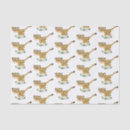 Search for cheetah tissue paper Safari