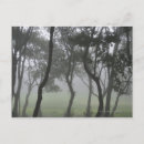 Search for back lit postcards Outdoors