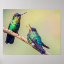 Search for lovebird posters Colourful