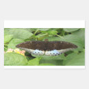Search for tropical butterfly stickers Blue