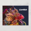 Search for lionfish postcards Sea