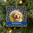 Search for chanukah christmas tree decorations Puppy