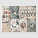 Search for spring bird Retro
