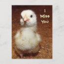 Search for sadness postcards Miss you