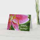 Search for stargazer lily birthday cards Pink