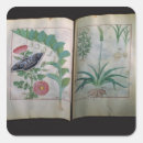 Search for herbal medicine stickers Illuminated