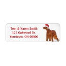 Search for irish return address labels Dog