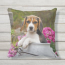 Search for beagle dog cushions Funny