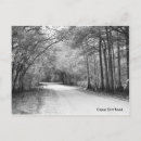 Search for dirt road postcards Trees