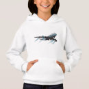 Search for plane hoodies Jet