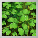 Search for traditional irish art Shamrock