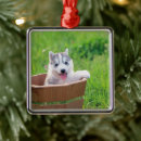 Search for alaskan malamute christmas tree decorations Puppy