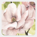 Search for magnolia blossom stickers Botanical