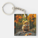 Search for chipmunk key rings Fall