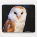 Search for barn owls mousepads Nature