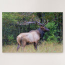 Search for hunting puzzles Mountains