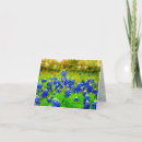 Search for hill note cards Wildflowers