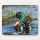 Search for anas electronics Waterfowl