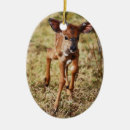 Search for african animals christmas tree decorations South africa