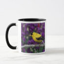 Search for american goldfinch mugs Wildlife