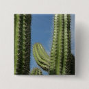 Search for barrell badges Cactus