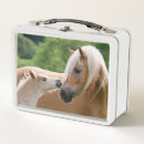Search for horse lunch boxes Cute