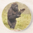 Search for chimp monkey coasters Primates
