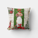 Search for beagle christmas cushions Animal