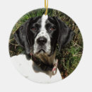 Search for gsp dog christmas tree decorations Hunting