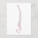 Search for backbone Spinal column