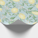 Search for citrus fruit wrapping paper Watercolor