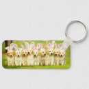 Search for rabbit ring key key rings Bunnies
