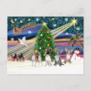 Search for denim christmas cards Pets