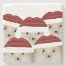 Search for cute hedgehog coasters Hedgehogs