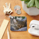 Search for kitten sleeping key rings Pet