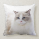Search for ragdoll cat cushions Feline