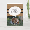 Search for getting photo cards Funny