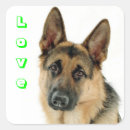 Search for german stickers Shepherd